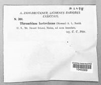 Image Associated With the Occurence
